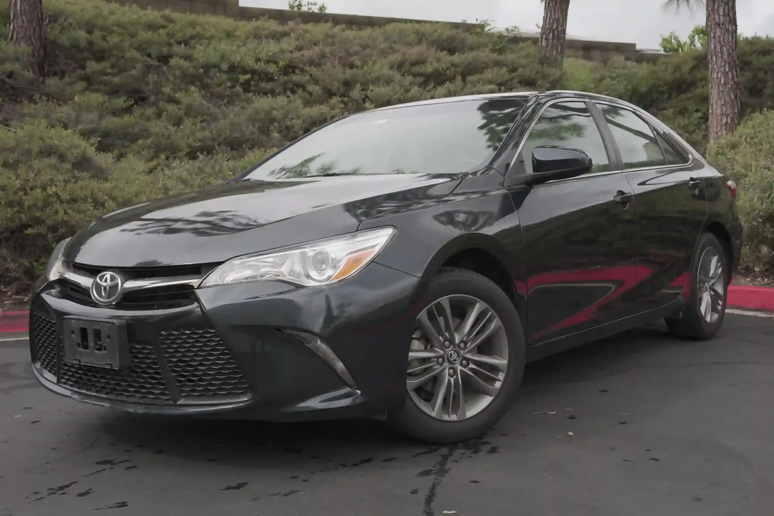 92D446CB-08C6-4881-A965-CA68598D25AD_7_11zon